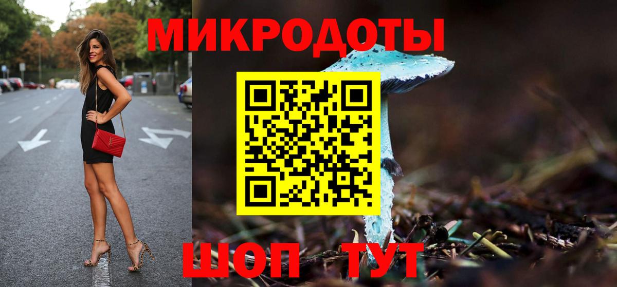 Псилоцибиновые грибы Psilocybine cubensis  Вход с VPN  Острогожск 